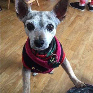 Meet your Posher, Jenny